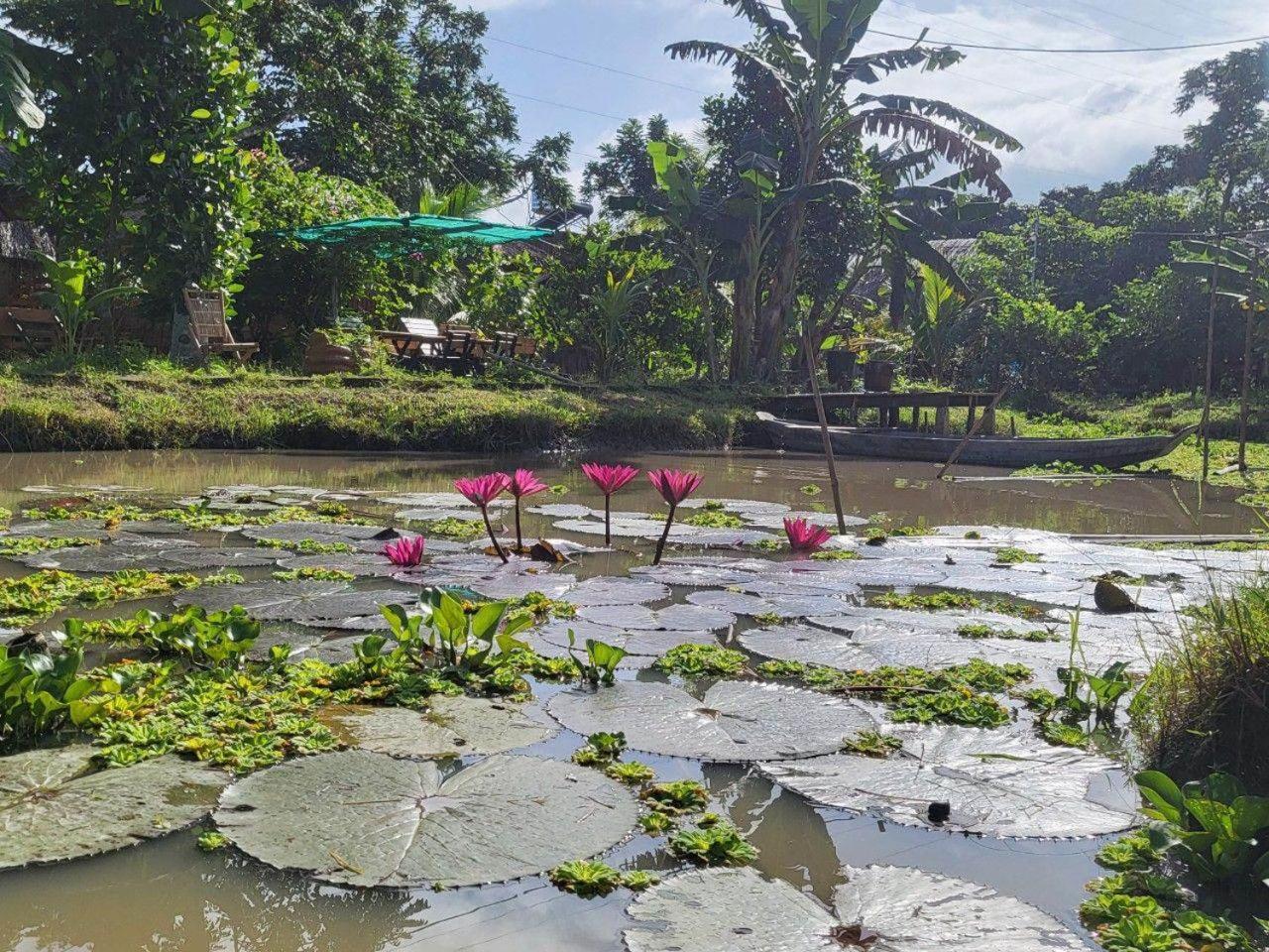 Mekong Daniel Homestay Can Tho Exterior photo